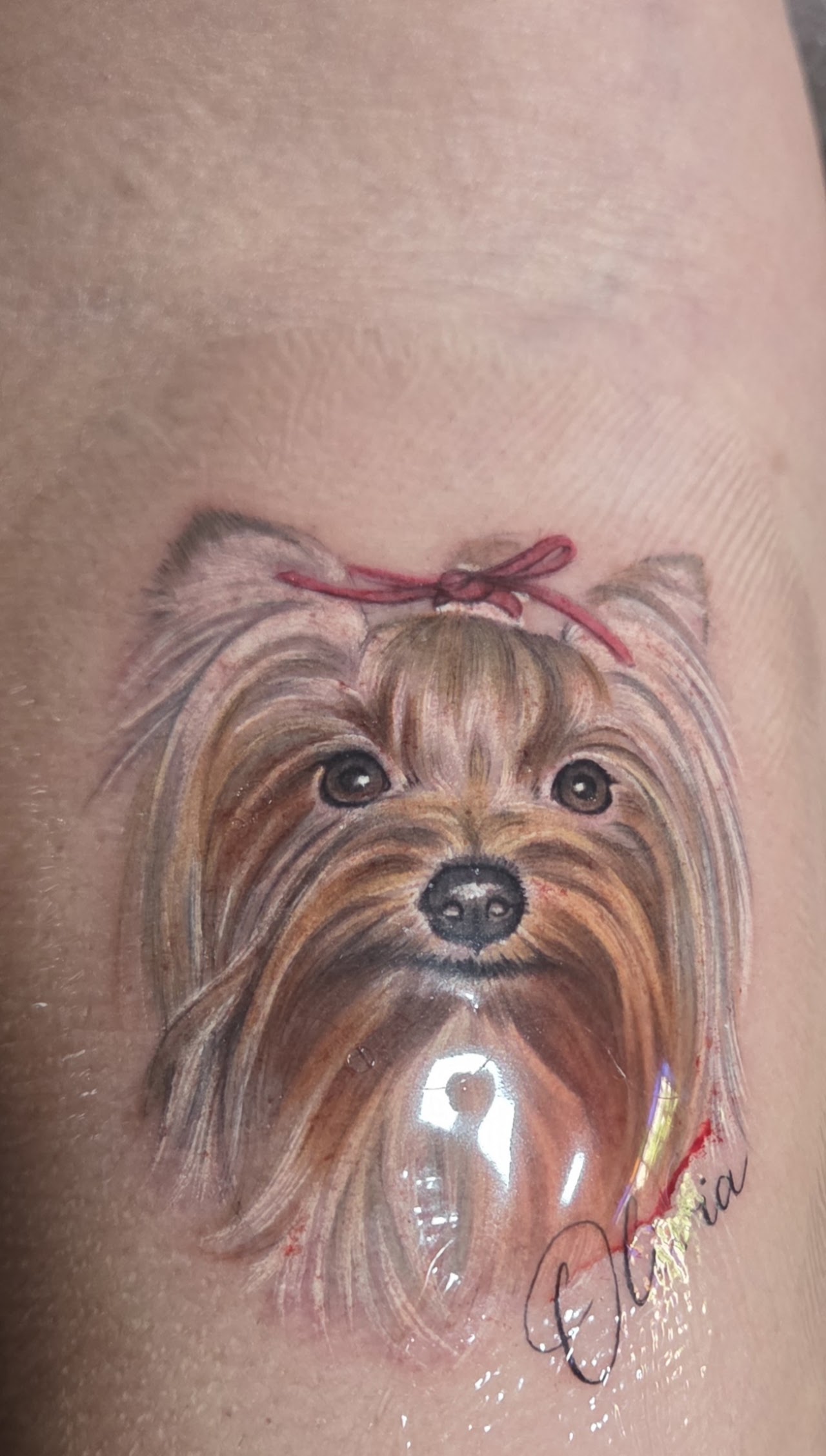 Tatuaje de mascota detallado