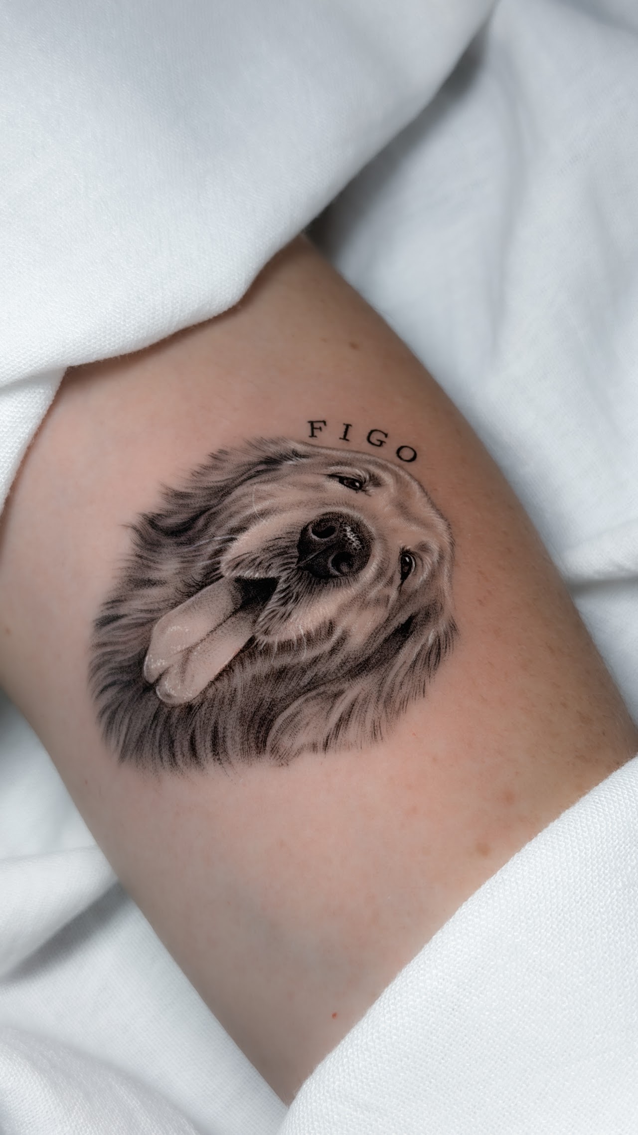 Retrato de perro en el antebrazo
